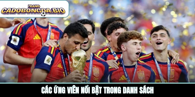 Các ứng viên nổi bật trong danh sách