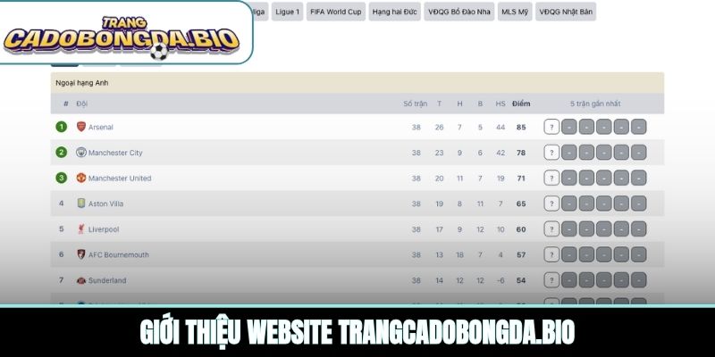 Giới thiệu website caraantiques.com